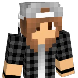 FryDizzle's Minecraft skin