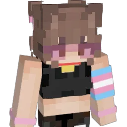 FrzJdm Minecraft avatar bust