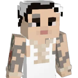 Ftxfvn Minecraft avatar bust
