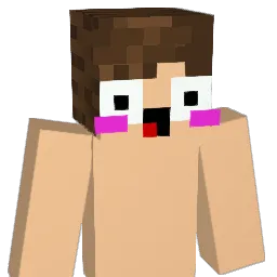 FuJicasa Minecraft avatar bust