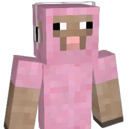 FudgieCars Minecraft avatar bust