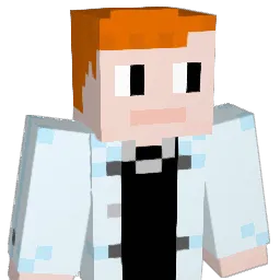 FullStops8958 Minecraft avatar bust