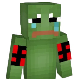 Funkinstick Minecraft avatar bust