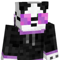 Funkypanda1203 Minecraft avatar bust