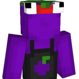 FunnyBone7629 Minecraft avatar bust