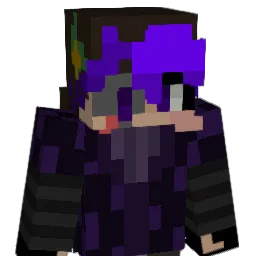 FunnyFoxTX Minecraft avatar bust