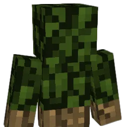 FuriousPanda1up Minecraft avatar bust