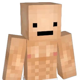 Fwd247 Minecraft avatar bust