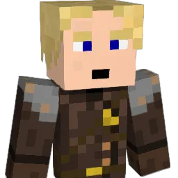 FxdrgN Minecraft avatar bust