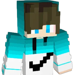 Fynn2109 Minecraft avatar bust