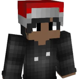 FynnMagDich Minecraft avatar bust