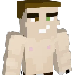FyrstenBoiToy Minecraft avatar bust