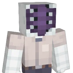 G3360 Minecraft avatar bust