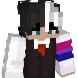 G4R4N Minecraft avatar bust