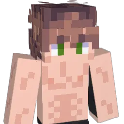 GAMES4LIFE__'s Minecraft skin
