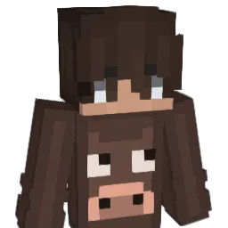 GG_Swiffer
