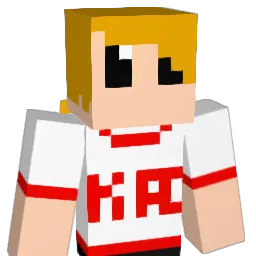 GREYASYLUM Minecraft avatar bust