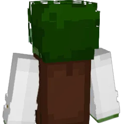 G_55's Minecraft skin