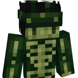 Minecraft-Avatar von GaardXD: Büste