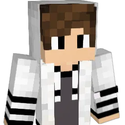 Gabriel1229_BR Minecraft avatar bust