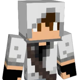 GallusBaer Minecraft avatar bust