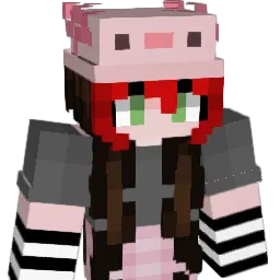 Gamer_sire's Minecraft skin