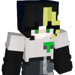 GamingWizard39 Minecraft avatar bust