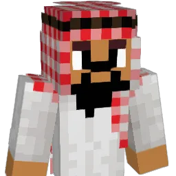Ganskie_'s Minecraft skin