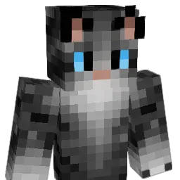 GatoCraft123 Minecraft avatar bust