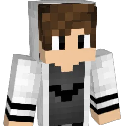 Gawron_B6 Minecraft avatar bust