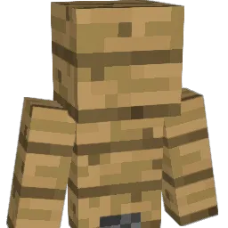 Gaymer123 Minecraft avatar bust