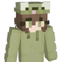 Gaymer9060 Minecraft avatar bust