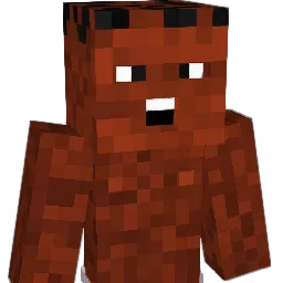 Gedoogbeleid