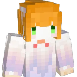 Geekorp2Wish's Minecraft skin