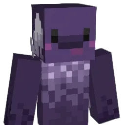 Gen1s_1 Minecraft avatar bust