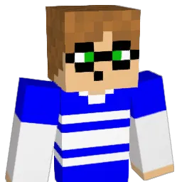 Geo1810 Minecraft avatar bust