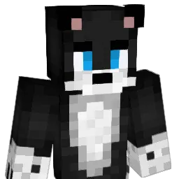 GeoFr1lleX Minecraft avatar bust