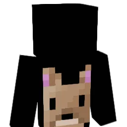 GnocchiYT Minecraft avatar bust