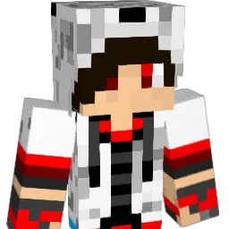 GomakiN Minecraft avatar bust