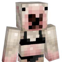 Gooner4Eva Minecraft avatar bust
