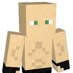 Grabiel3438 Minecraft avatar bust