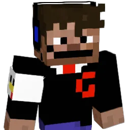 GracinH2011 Minecraft avatar bust