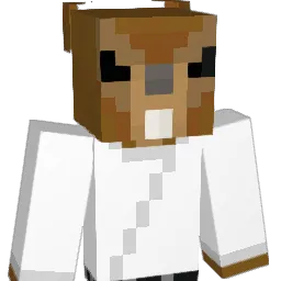 Graffitiest420 Minecraft avatar bust
