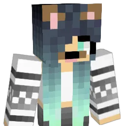 GrahamCracker04 Minecraft avatar bust