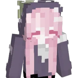 GrayPlaysMC