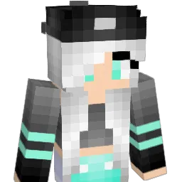GrayWolf19a Minecraft avatar bust