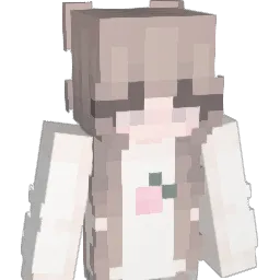 Gray_listed Minecraft avatar bust