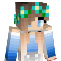 Grayfin786 Minecraft avatar bust