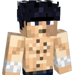 Grayknight11 Minecraft avatar bust