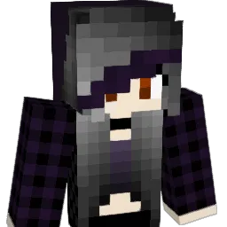Grayskull_6969 Minecraft avatar bust
